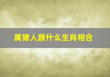 属猪人跟什么生肖相合