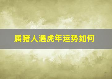 属猪人遇虎年运势如何