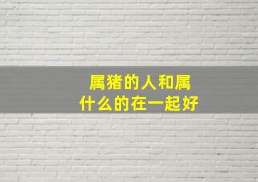 属猪的人和属什么的在一起好