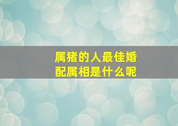 属猪的人最佳婚配属相是什么呢