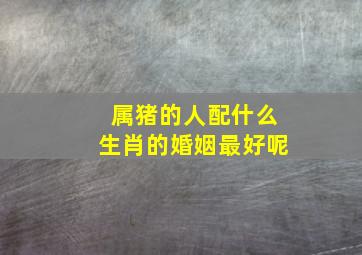 属猪的人配什么生肖的婚姻最好呢