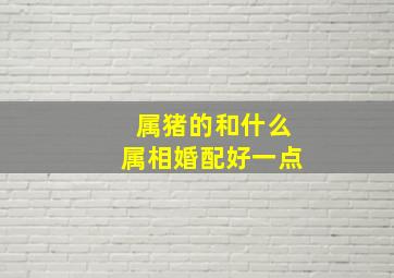 属猪的和什么属相婚配好一点