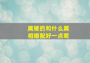 属猪的和什么属相婚配好一点呢