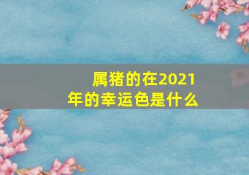 属猪的在2021年的幸运色是什么