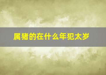 属猪的在什么年犯太岁