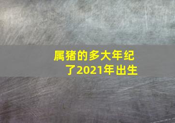 属猪的多大年纪了2021年出生