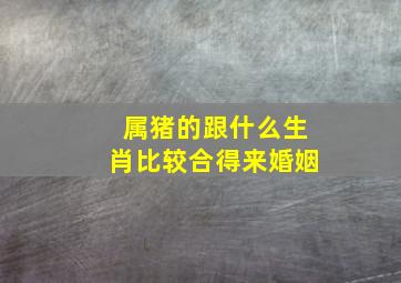 属猪的跟什么生肖比较合得来婚姻