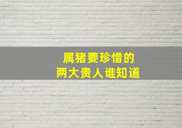 属猪要珍惜的两大贵人谁知道