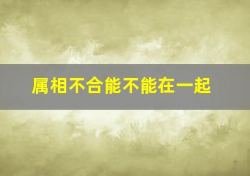 属相不合能不能在一起