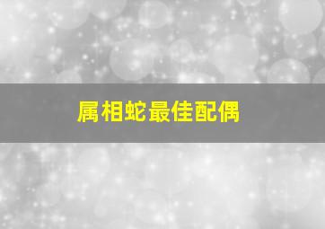 属相蛇最佳配偶