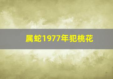 属蛇1977年犯桃花