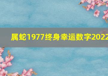 属蛇1977终身幸运数字2022