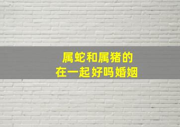 属蛇和属猪的在一起好吗婚姻