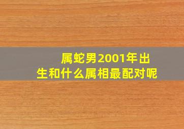 属蛇男2001年出生和什么属相最配对呢