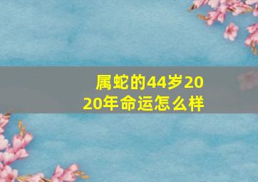 属蛇的44岁2020年命运怎么样