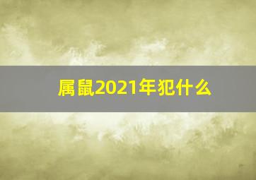 属鼠2021年犯什么