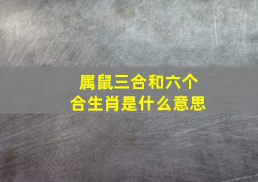 属鼠三合和六个合生肖是什么意思