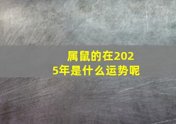 属鼠的在2025年是什么运势呢