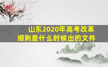 山东2020年高考改革细则是什么时候出的文件