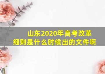 山东2020年高考改革细则是什么时候出的文件啊