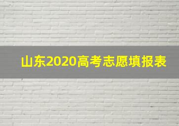 山东2020高考志愿填报表