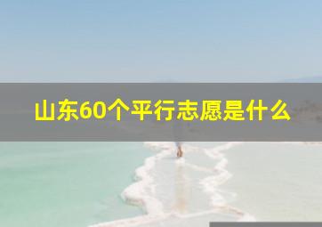 山东60个平行志愿是什么