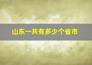 山东一共有多少个省市