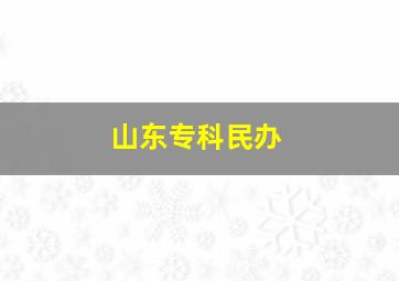 山东专科民办