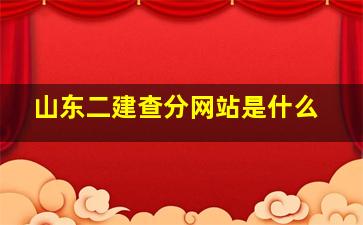 山东二建查分网站是什么