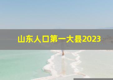 山东人口第一大县2023