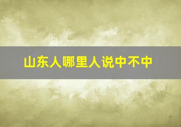 山东人哪里人说中不中