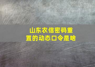 山东农信密码重置的动态口令是啥