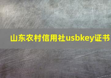 山东农村信用社usbkey证书