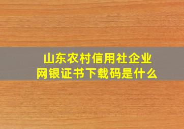 山东农村信用社企业网银证书下载码是什么