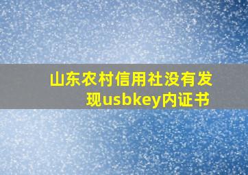 山东农村信用社没有发现usbkey内证书