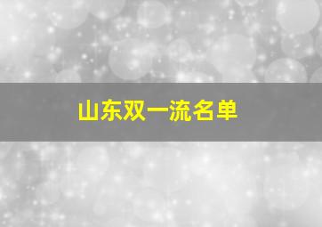 山东双一流名单