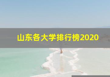 山东各大学排行榜2020