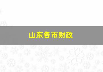 山东各市财政