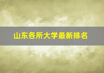 山东各所大学最新排名