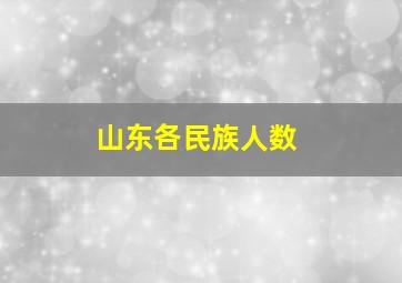 山东各民族人数