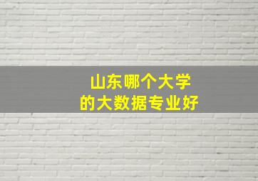 山东哪个大学的大数据专业好