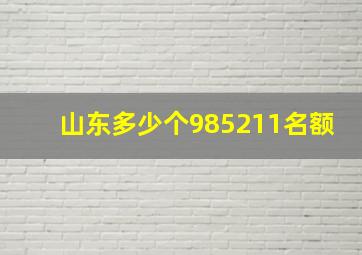 山东多少个985211名额