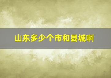 山东多少个市和县城啊