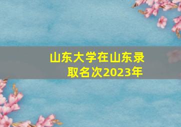 山东大学在山东录取名次2023年