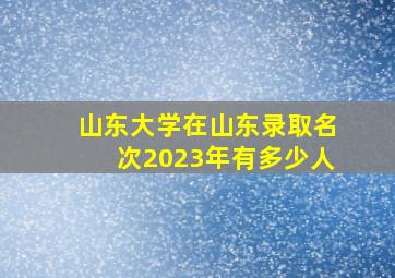 山东大学在山东录取名次2023年有多少人