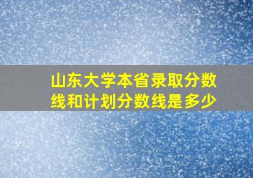 山东大学本省录取分数线和计划分数线是多少