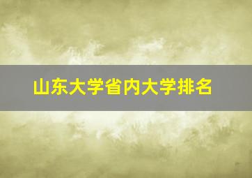 山东大学省内大学排名