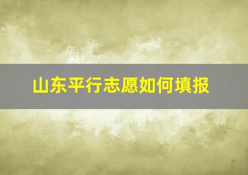 山东平行志愿如何填报