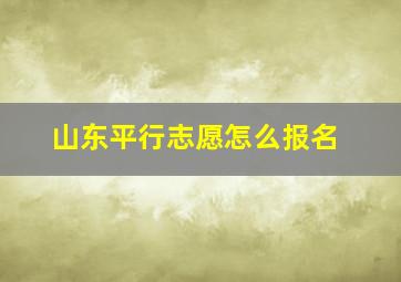 山东平行志愿怎么报名