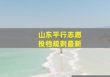 山东平行志愿投档规则最新